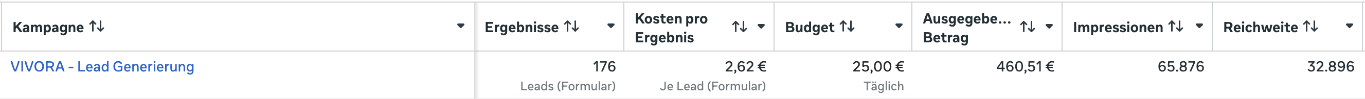 Meta campaign dashboard showing 176 leads at an average cost of 2.62 euros per lead
